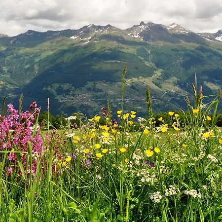 Oda ve Kahvaltı Les Biolleys Vex