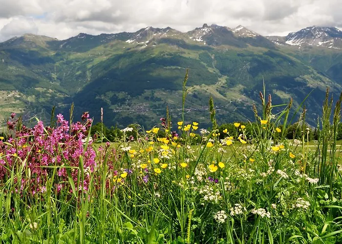 Bed & Breakfast Les Biolleys Vex